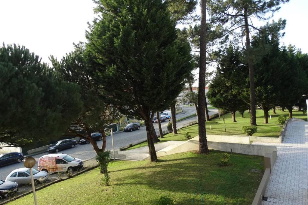 AZURARA BEACH large&sunny apartment Árvore Eksteriør bilde